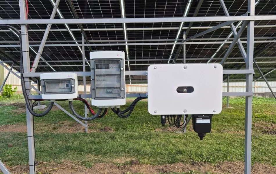 СЕС у с Заліщики Тернопільська обл5